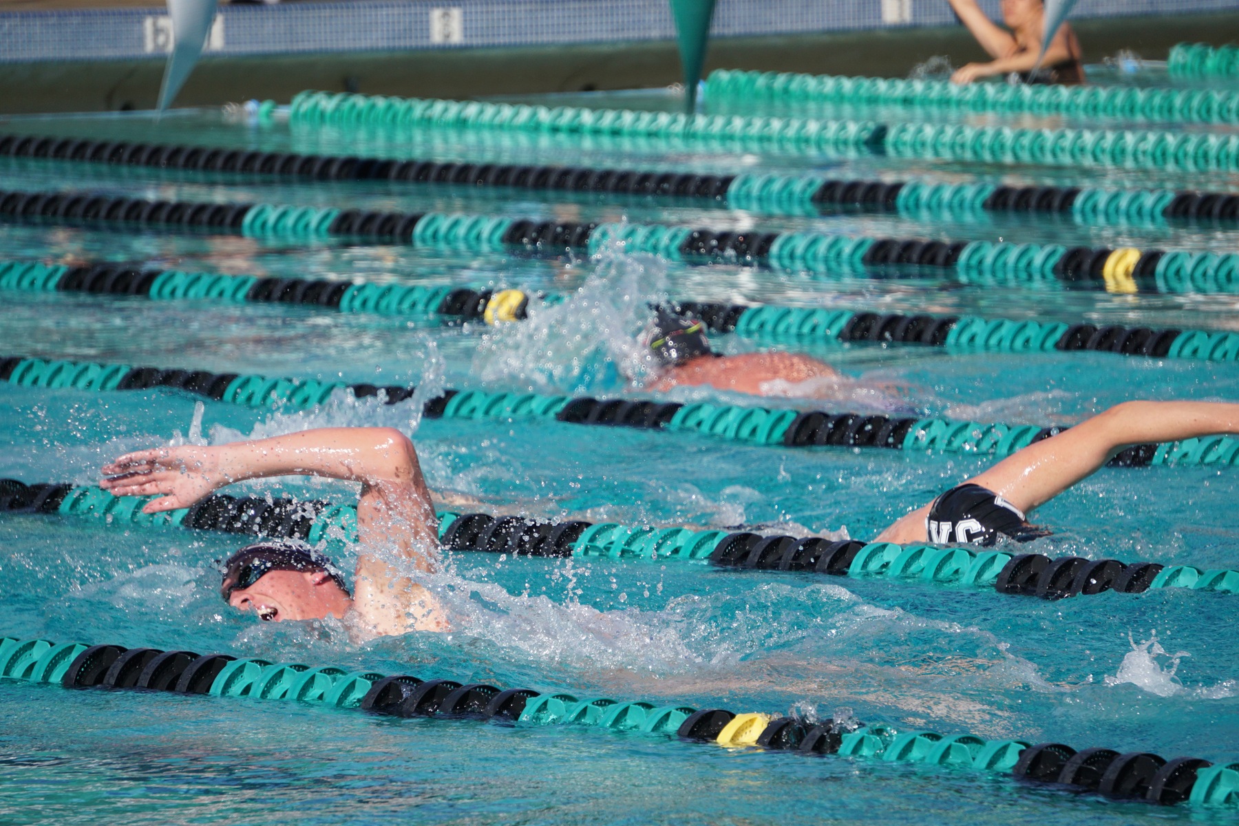 Vikings defeat Mt. SAC in first dual meet of the year