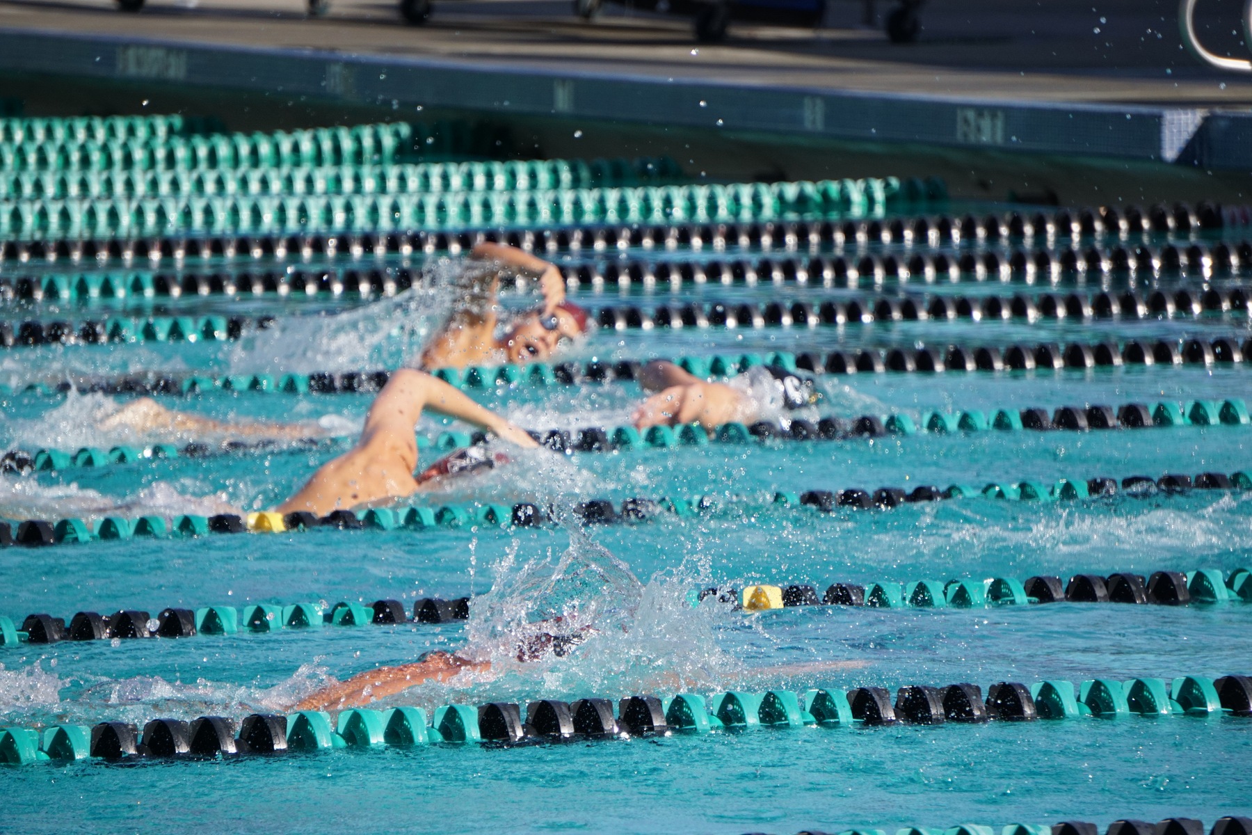 Men's Swimming wins 19th Annual Pasadena Invitational