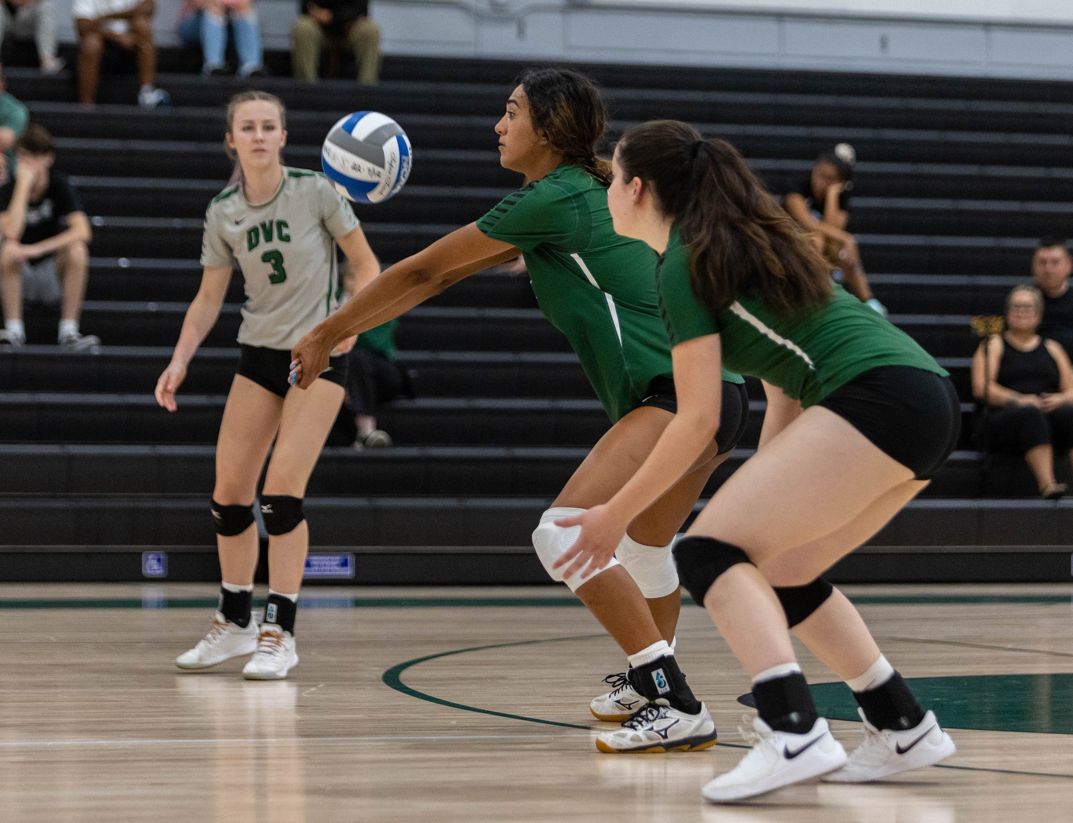 Volleyball drops 2 in DVC Classic