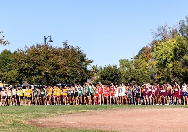 Men's Cross Country finish 12th overall, Solari 6th, in NorCal Championships, Solari & Seals qualify for State